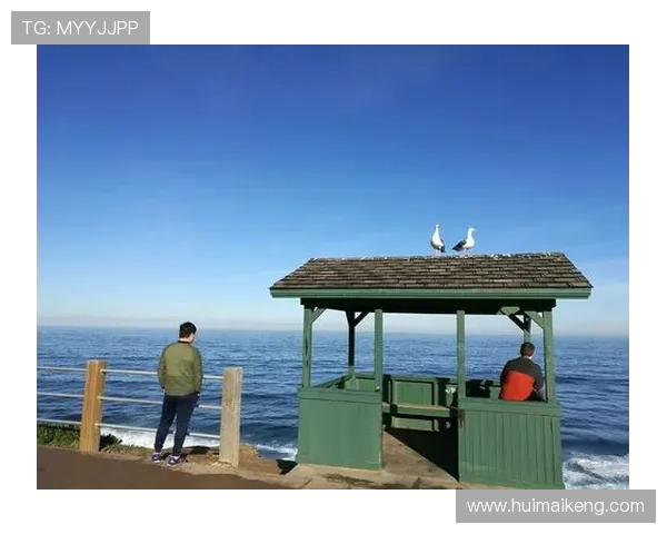 跨越山海，品味世界：海外剧集，你的下一个心动瞬间